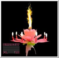 Birthday Candle Fountain 